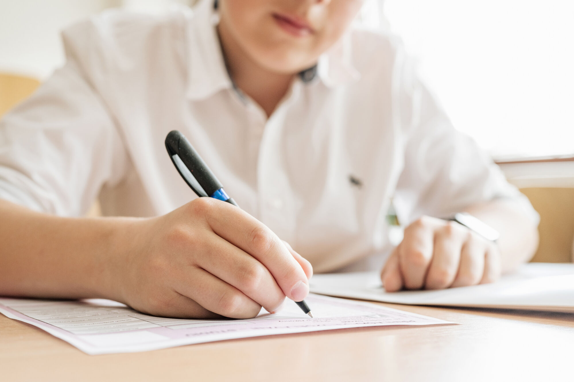 STUDENT TROJSKÉHO GYMNÁZIA, DOKUMENTY ŠKOLY